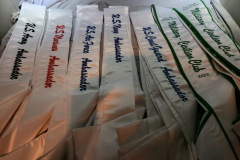 Sashes