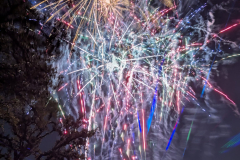 20250502_133012-90d0